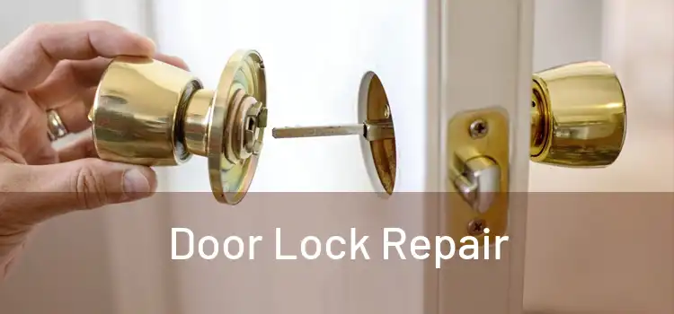  Door Lock Repair 
